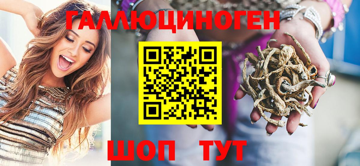 Москва  Галлюциногенные грибы Cubensis  Вход с VPN 