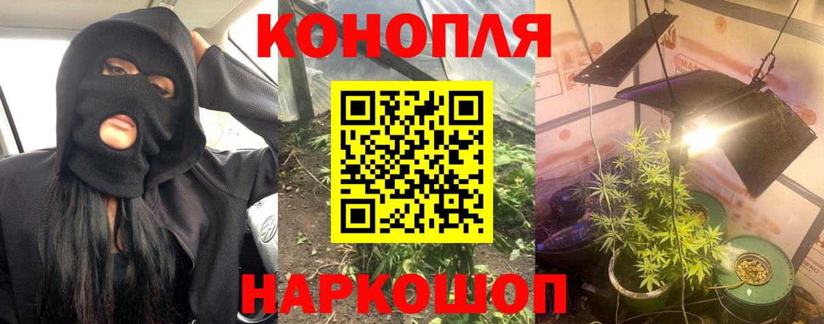 Канабис семена Москва